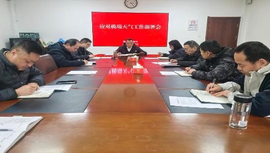 市商务局积极开展寒潮雨雪冰冻天气安全防范应对工作